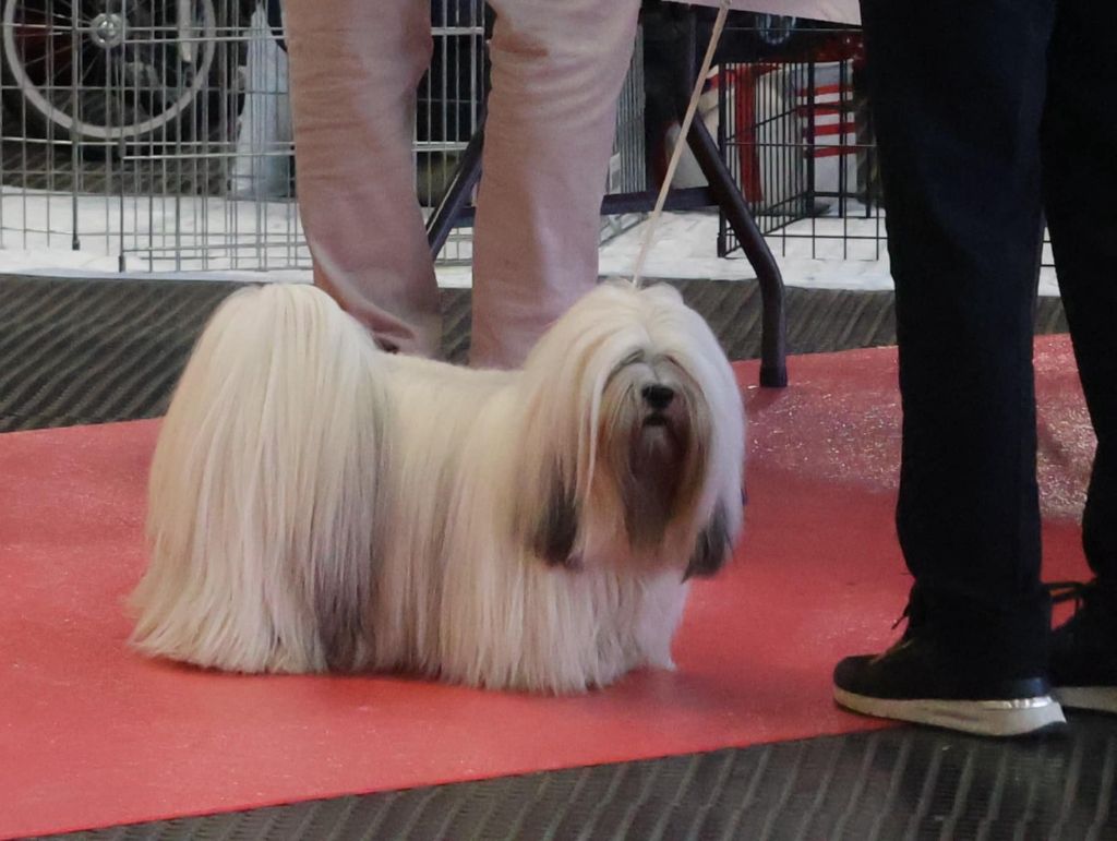 Very Versace's Vertige-de-l'amour